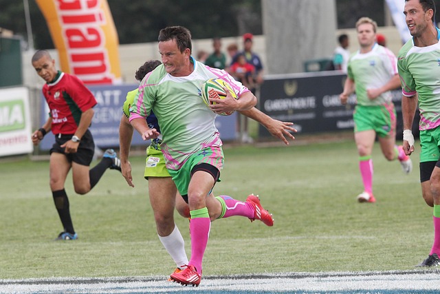 不但展示了 不但展示了