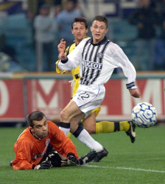 积极主动的 积极主动的